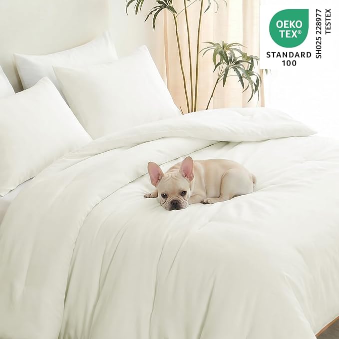 CozyLux Queen Comforter Set Ivory, 3 Pieces Lightweight Comforters Queen Size Quilted Bedding Sets, All Season Breathable Solid Down Alternative Comforter with 2 Pillowcases, Bed Set Gift for Home