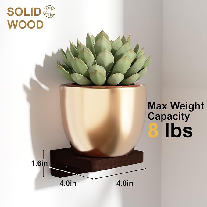 SRIWATANA Small Floating Shelves Wall Mounted, Wood Shelf for Decoration and Storage Set of 4, Mini Display Shelf for Bedroom, Bathroom, Kitchen, Office (Walnut, 4 inch) (Pack of 2)