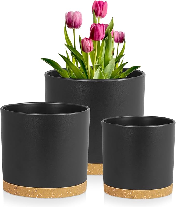 Meowell 8/7/6 inch Flower Pots, 3 Pack Cylinder Plant Pots for Outdoor Indoor Plants, Decorative Plastic Planters with Drainage Holes and Saucers for Garden House Plants, Black with Brown