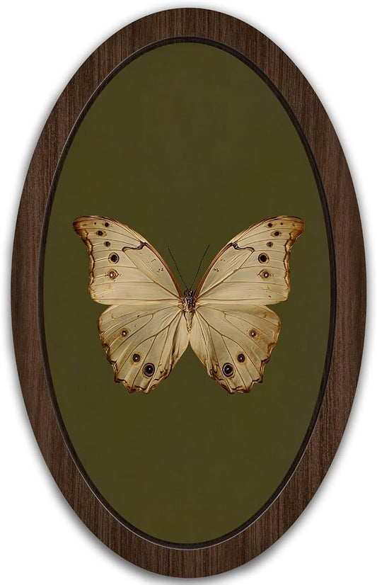 UYIKG Vintage White Butterfly Oval Wall Art Decor,Vintage Antique Moth Rustic Farmhouse Oval Wooden Framed Decor for Home Bedroom Living Room Reading Room 9x14.6 in