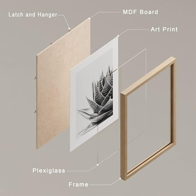 SIGNWIN Framed Black White Snake Plant Agave Cactus Succulent Wall Art, Set of 4 Floral Botanical Wall Decor Prints, Nature Wilderness Wall Décor for Living Room, Bedroom - 11"x14" Natural