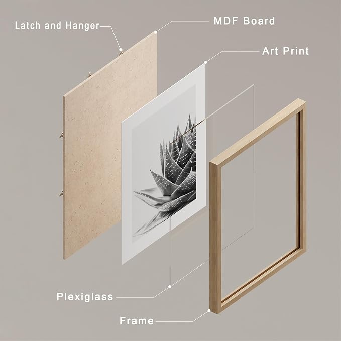 SIGNWIN Framed Black White Snake Plant Agave Cactus Succulent Wall Art, Set of 4 Floral Botanical Wall Decor Prints, Nature Wilderness Wall Décor for Living Room, Bedroom - 12"x16" Natural