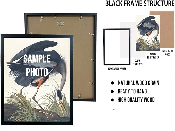 Owl Art Print Poster, William Morris Style Retro Mid Century Botanical Victorian Dark Academia Gothic Decor Gallery 10b (Owl, 11 x 14 inches, Black Frame)