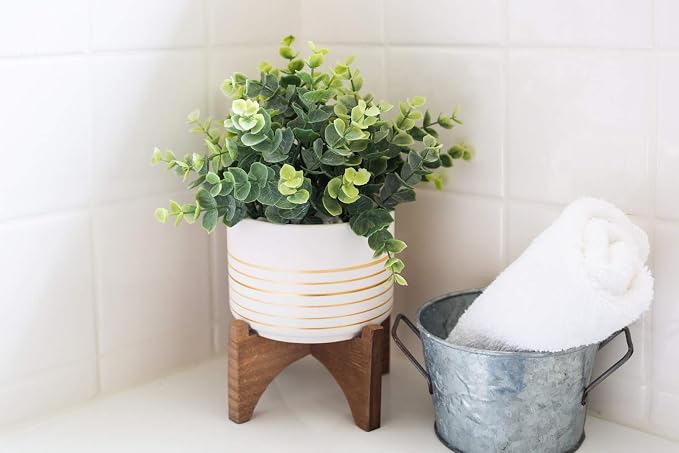 Flora Bunda Mid Century Ceramic Planter on Wood Stand 4.75 inch White with Gold Line for Succulent Desktop Indoor Use 5.5 x 5.5 x 5.75
