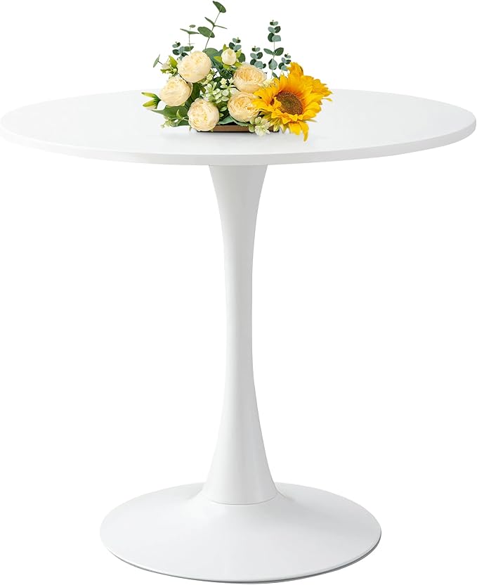 24 Inch Round Dining Table,Mid-Century Tulip Table with Metal Pedestal Base,Modern Leisure Table for Small Space Kitchen Dining Room,Easy Assembly,White