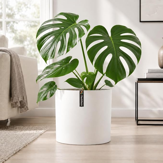 Fox & Fern Large Indoor Planter, Modern Large Plant Pot for Indoor or Outdoor, UV and Frost Resistant - 10 Inch, Polystone, Matte White Flower Pot with Drainage Plug
