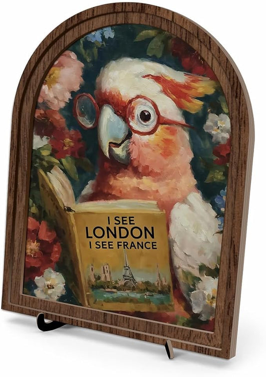 Book Lover Decor Arched Wooden Frame Tabletop Sign, Funny Reading Bird Bookshelf Decor for Desk Shelf and Reading Nook, Vintage Floral Parrot Art Accent