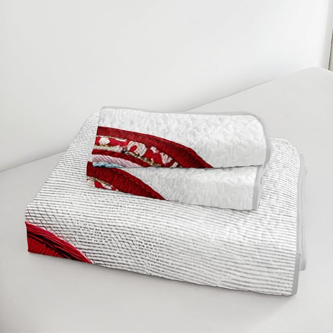 AILONEN Red Knitted Heart Quilt Set King Size,Heart Reversible Bedding Sets,Romantic Moment Bedspread Coverlet with 2 Pillowcases,3-Piece,Soft Lightweight Microfiber
