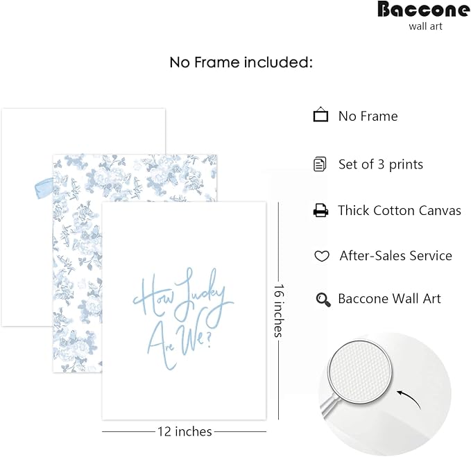 Baccone Blue Bow Wall Art Floral Canvas Wall Decor Coquette Flower Wall Art Trendy Aesthetic Poster Girly Preppy Pictures Blue Floral Prints for Living Room Bathroom 12x16 Inch Unframed Set of 3