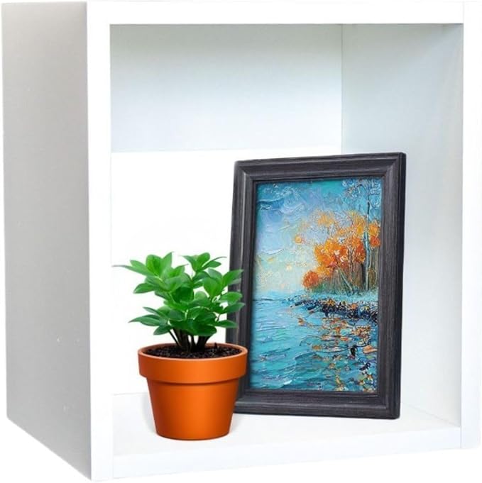 Custom Sized 1-Cube Cubby; Choose color, width, depth, and height. Units are 3/4 inch thick premium grade melamine for strong, solid unit. Easy assembly. Place on the floor or mount on a wall.