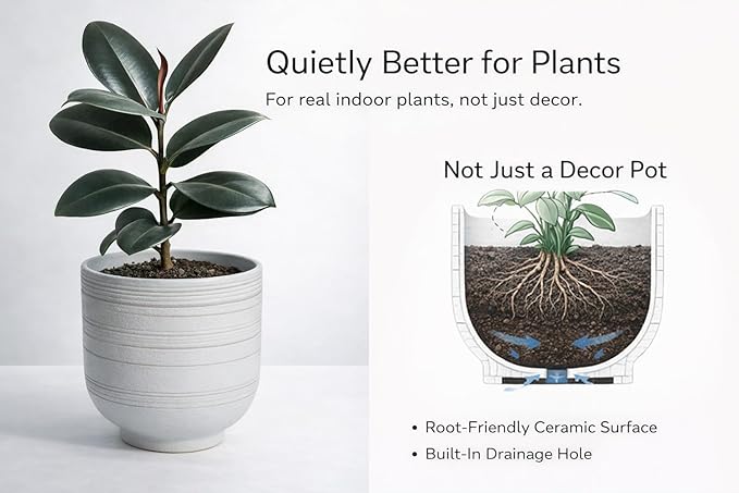 Large White Ceramic Planter for Indoor Trees, Modern Indoor Floor Planter Pot for Olive Trees & Faux Olive Trees, Pottery Planter with Drainage for Real Plants