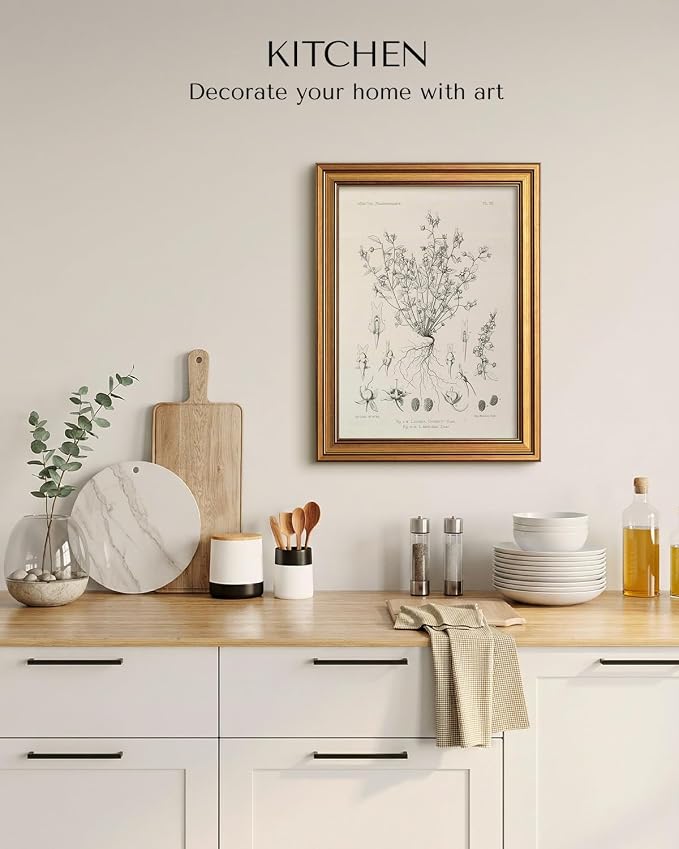HUARCEY Gold Framed Vintage Wall Art for Living Room, Flowers Painting Prints Shelf Decor for Kitchen, Aesthetic Bedroom Wall Art, Best Gifts for Friends or Family - Veronica biloba 16L x 12W