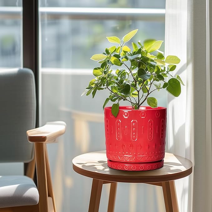 Eightpot Ceramic Plant Pots, 8 Inch Plant Pots Indoor Outdoor, Round Flower Pot with Drainage Hole and Sacuer, Boho Pot for Plants, Decorative Planter, Home Room Bathroom Decor, Garden Gifts, Red