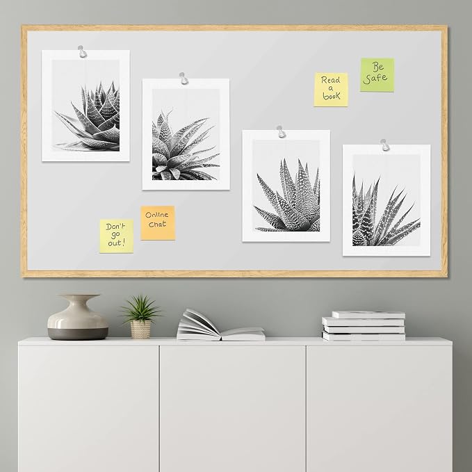 SIGNWIN Poster Set Black White Snake Plant Agave Cactus Succulent Close Up Floral Botanical Photography Modern Art Decorative Scenic Multicolor Nature Wilderness for Bedroom - 8"x10"x 4