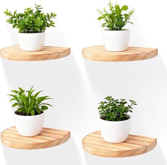Small Wood Floating Shelves (4-Pack, 6-inch Diameter) - Round Sturdy Invisible Wall Mount Display for Small Plants,Toys,Bathroom,Living Room Storage & Modern Rustic Décor (Carbonized Brown)