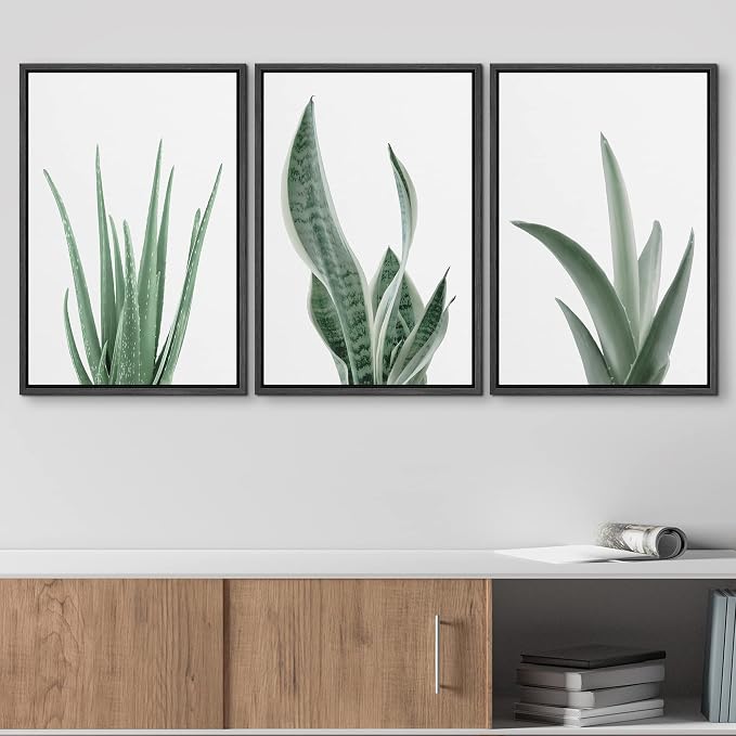 wall26 Framed Canvas Print Wall Art Set Minimal Snake Plant Agave Succulents Nature Wilderness Photography Modern Art Bohemian Decorative for Living Room, Bedroom, Office - 24"x36"x3 Black
