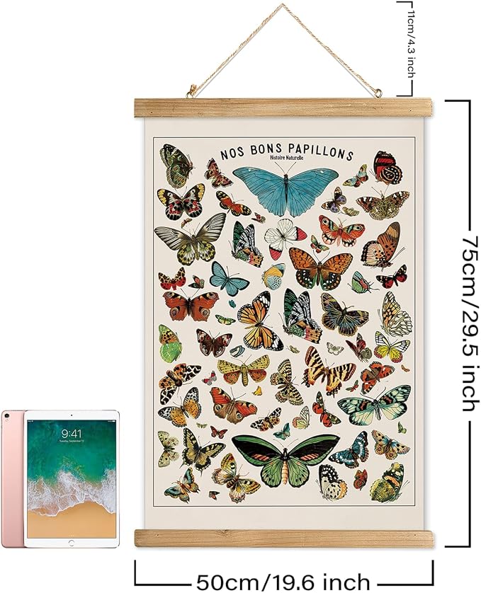 XIAOAIKA Vintage Butterfly Species Poster - Illustrated Educational Chart with Wooden Frame - Entomology Wall Art for Nature Lovers, Classrooms, and Home Decor 20 x 30 Inches