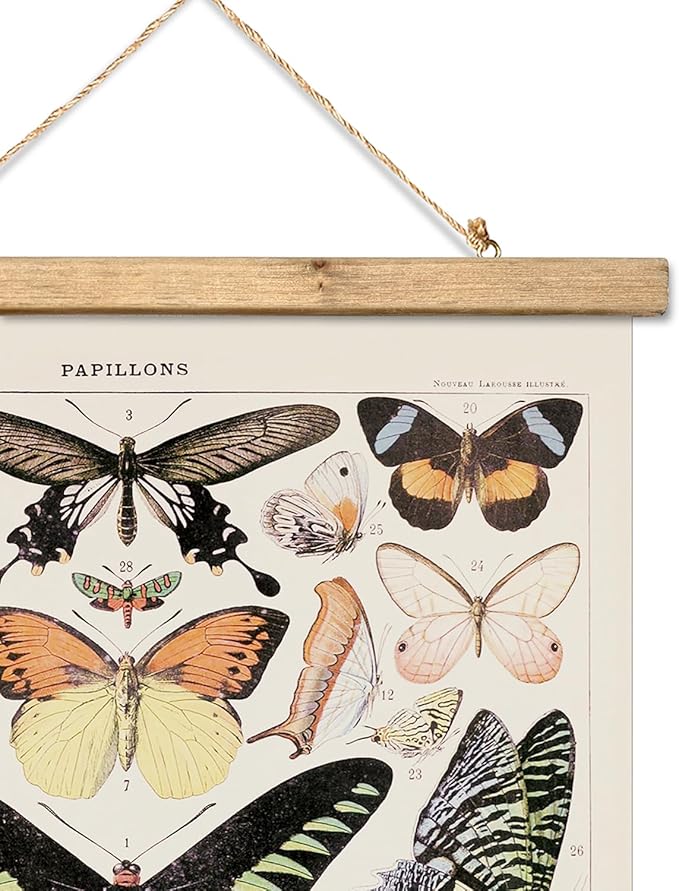 XIAOAIKA Vintage Butterfly Hanging Poster with Wooden Frame, Retro Style Wall Decor Art Painting, Patterns Printed on Linen Without Fading, Ready to Hang (20 x 30)