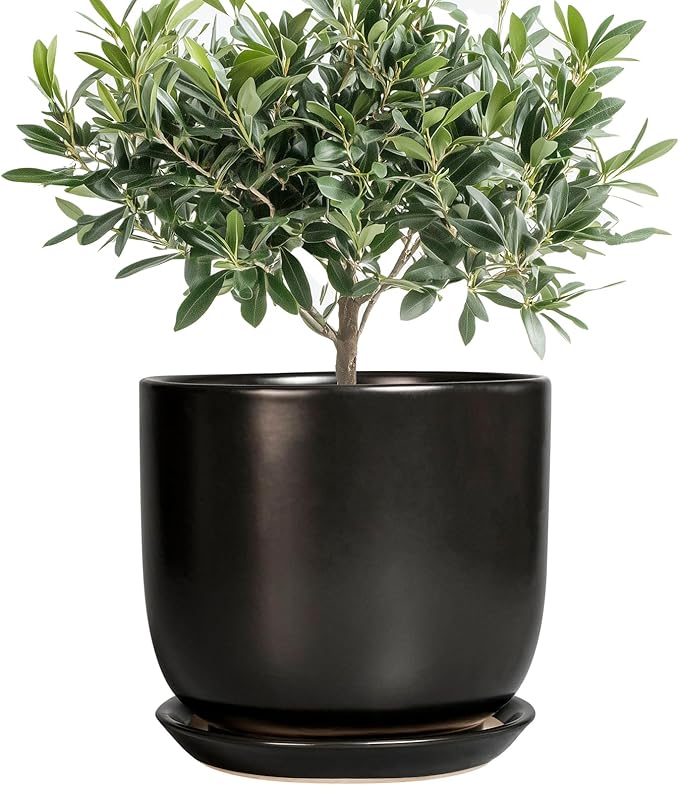 Ceramic Flower Pot 8 Inch - Modern Round Planter for Indoor Outdoor Plants with Drainage Hole and Saucer, Home House Room Office Patio Decor, Black