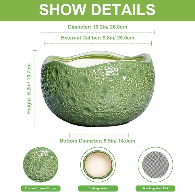 Ceramic Pots for Plants - 10 Inch Plant Pot for Indoor Outdoor, Round Bonsai Pots with Drainage Hole, Modern Planter, Decorative Flower Pot, Living Room Decor, Gifts for Plant Lovers, Green