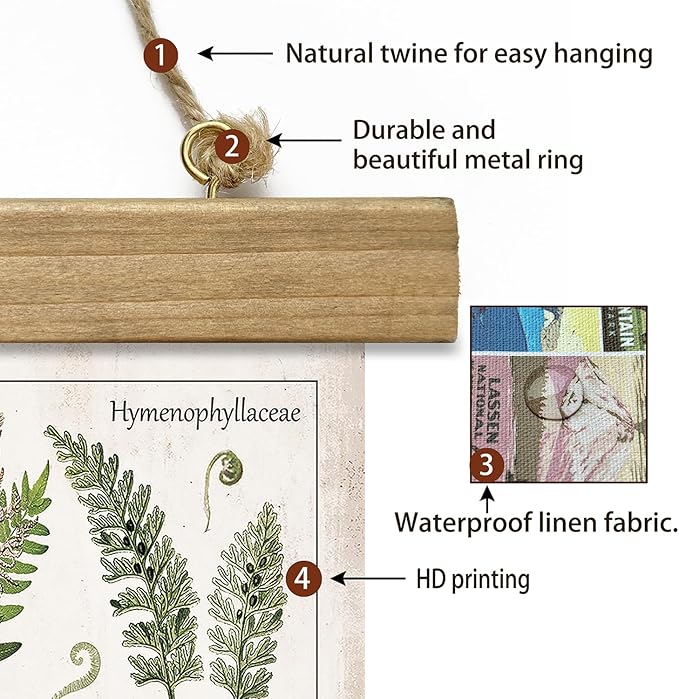XIAOAIKA Botanical Fern Varieties Poster - Vintage Illustrated Guide with Wooden Frame - Educational Plant Wall Art for Home, Office, or Classroom Decor 12 x 16 Inches