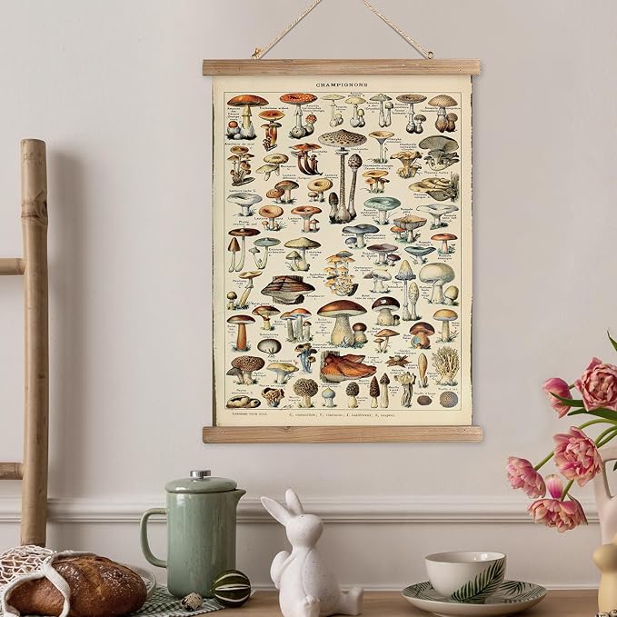 XIAOAIKA Vintage Mushroom Poster with Wooden Frame - Classic Botanical Print with Variety of Fungi Species - Retro Style Wall Art Decor for Kitchen, Living Room, Classroom 12 x 16 Inches