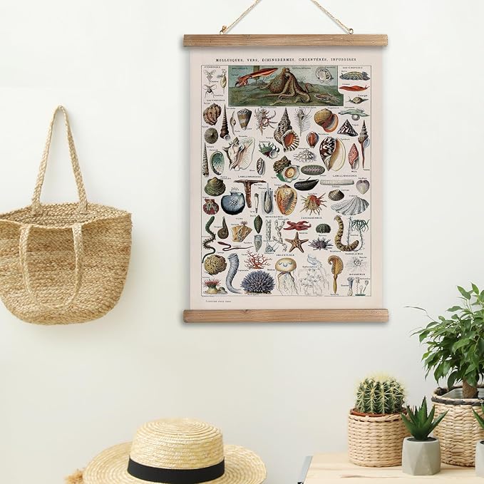 XIAOAIKA Vintage Zoology Poster - Illustrated Invertebrates and Marine Life Chart with Wooden Frame - Educational Biology Wall Art for Science Classrooms and Nature Enthusiasts 12 x 16 inches