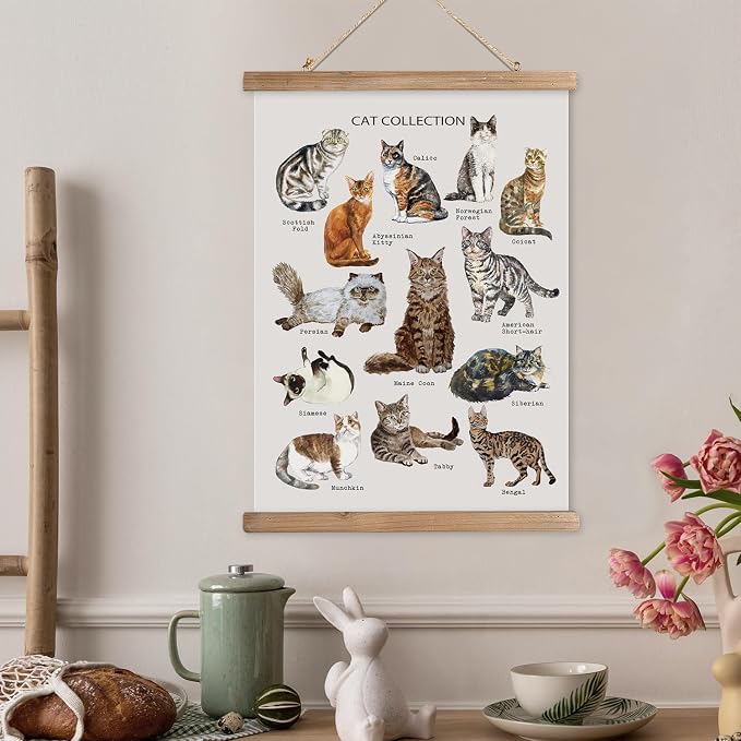 XIAOAIKA Cat Breeds Educational Poster - Illustrated Guide to Popular Feline Varieties with Wooden Scroll Frame - Decorative Wall Art for Cat Lovers and Pet Owners 12 x 16 Inches