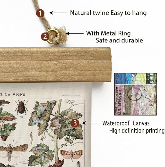 XIAOAIKA Vintage Vineyard Pests Identification Chart - Rustic Wall Hanging Educational Poster with Wooden Scroll Frame - Ideal for Wine Enthusiasts and Gardeners 20 x 30 Inches