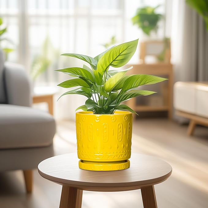 Eightpot 6 Inch Pots for Plants, Ceramic Pots for Plants with Drainage Holes and Tray, Round Planter for Indoor Outdoor, Modern Plant Pot, Decorative Flower Pot, Table Decor, Teacher Gift, Yellow