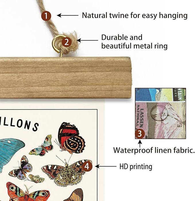 XIAOAIKA Vintage Butterfly Species Poster - Illustrated Educational Chart with Wooden Frame - Entomology Wall Art for Nature Lovers, Classrooms, and Home Decor 20 x 30 Inches