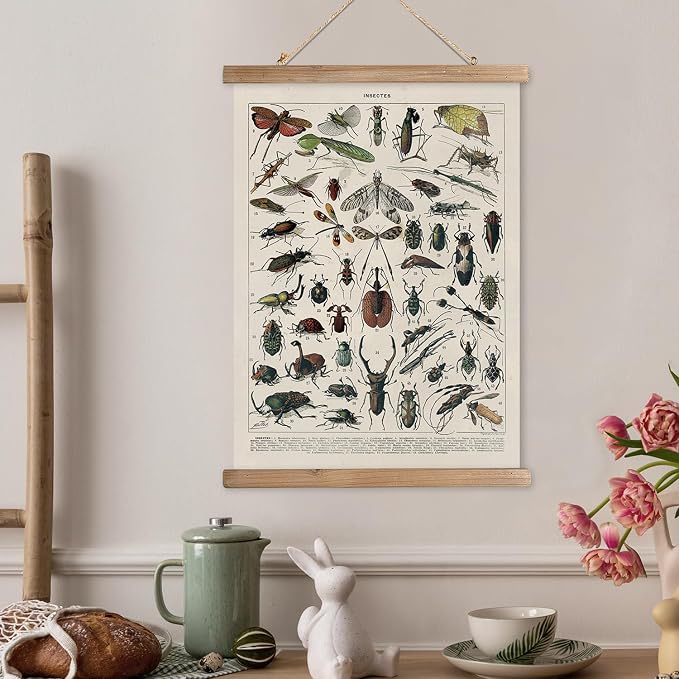 XIAOAIKA Vintage Entomology Poster - Illustrated Insect Species Chart with Wooden Frame - Educational Bug Identification Wall Art for Science Classrooms Home Office 20 x 30 Inches