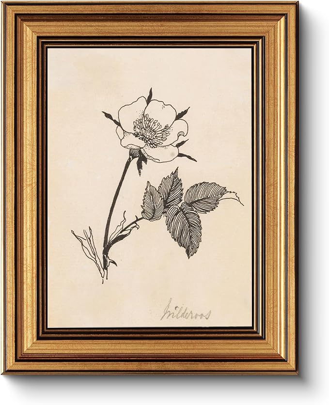 HUARCEY Gold Framed Vintage Wall Art for Living Room, Flowers Painting Prints Shelf Decor for Kitchen, Aesthetic Bedroom Wall Art, Best Gifts for Friends or Family - Dog Rose 10L x 8W