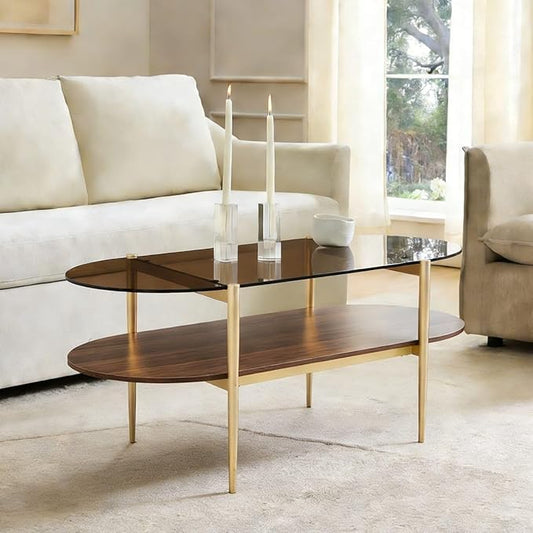 AGV LIGHTING Oval Rectangle Coffee Table with Amber Brown Glass Top, Mid-Century Modern Coffee Table, Walnut Wood Shelf and Gold Metal Legs, Capsule Shape 2 Tier Coffee Table for Living Room, 42 Inch