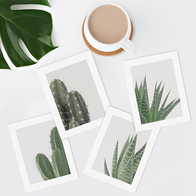 SIGNWIN Adhesive Canvas Poster Green Cactus Snake Plant Collage Desert Landscape Nature Wilderness Photography Realism Decorative Rustic Cozy Zen for Living Room, Bedroom, Office - 11"x14"x4