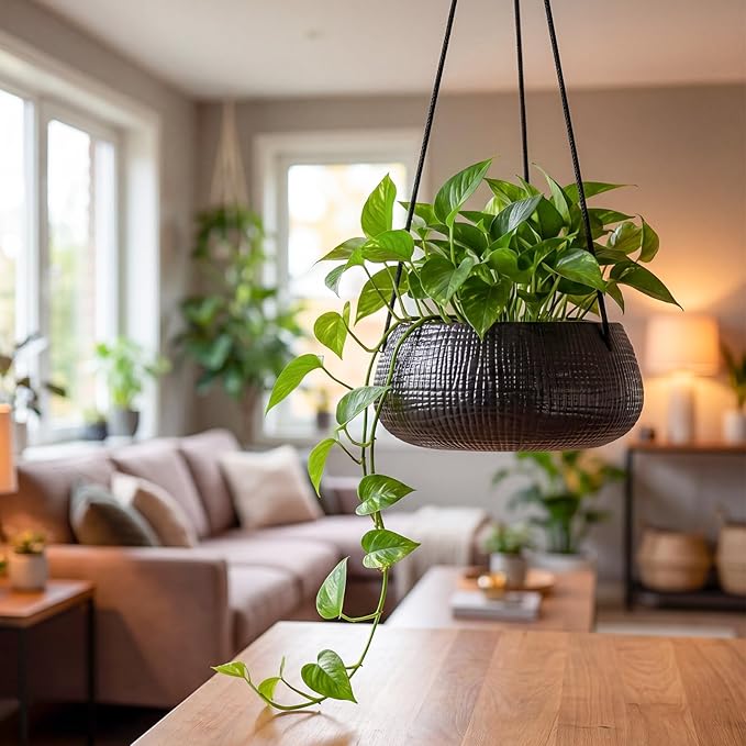 8 Inch Hanging Planters for Indoor Plants - Small Hanging Flower Pots with Drainage Holes Round Ceramics Hanging Plant Pots Black