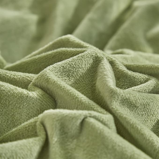 Pureant Sage Green Velvet Comforter Sets Twin Light Green Fluffy Bedding Solid Color Flannel Quilt Women Men Grass Green Comforters Micromink Sherpa Fuzzy Warm Bed Girls Boys Dorm Plush Bedding Soft