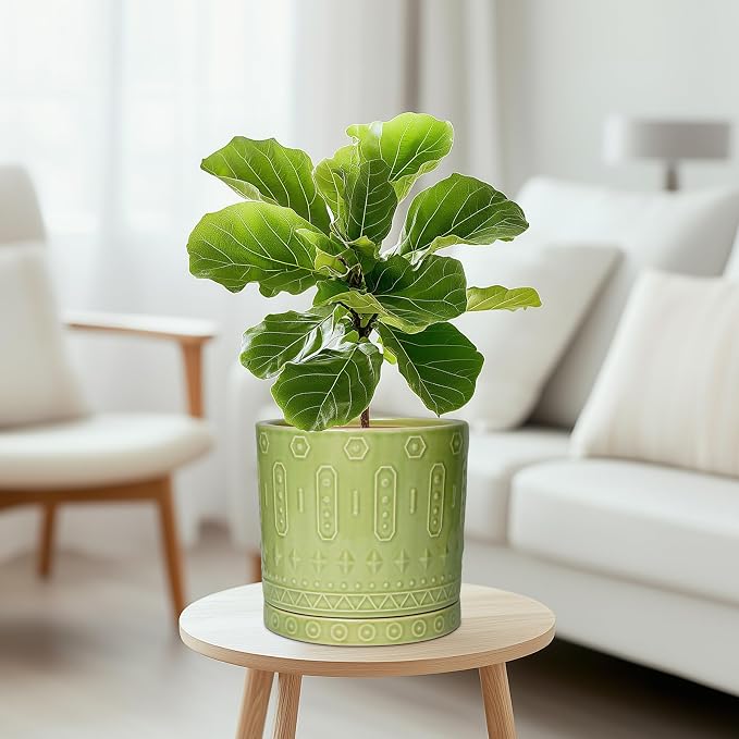 Eightpot 8 Inch Plant Pots - Ceramic Planter for Indoor Plants Outdoor, Round Ceramic Flower Pots with Drainage Hole and Saucer, Boho Decorative Planter, Home Bedroom Decor, Birthday Gifts, Green