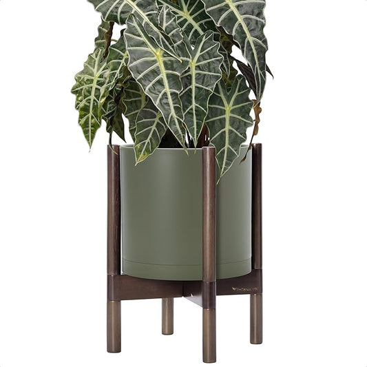 D'vine Dev Planter Pot with Stand - 10 Inch Plastic Cylinder Flower Pot with Wood Planter Holder for Indoor, Olive Pot + Walnut Color Stand, 55-C-L-3