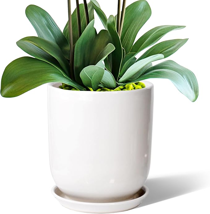 8in Plant Pot，Ceramic Plant pots，Ceramic Planter for Indoor Plants Outdoor,Mid-Century Modern Home Decor, Modern Flower Pot, Large Plant Pot with Drainage Hole and Saucer