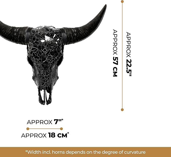 Skull Bliss - Hand-Crafted Real Authentic Taxidermy Cow Skull/Bull Skull Wall Decor with Horns/Real Animal Cow Skull Wall Decor (Standard Horns)