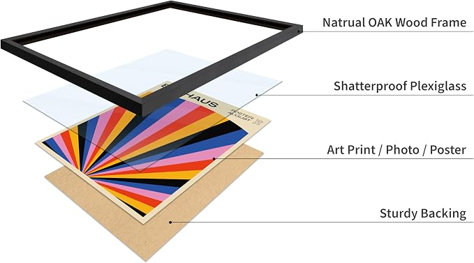 Poster Master Bauhaus Poster - Rainbow Sun Rays Print - Geometric - Abstract Art- Graphic Design - Chic Boho - Mid Century Modern Art - 16x20 Black Framed