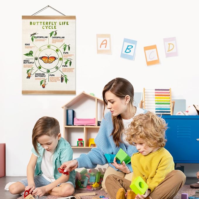 ZTGDA Butterfly Life Cycle Poster Linen Canvas Wall Art with Wooden Frame Educational Nature Chart for Toddler Playroom Classroom Homeschool or Montessori Learning Decor (Butterfly life cycle)