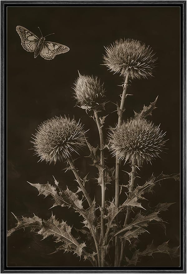 Woodrose Framed Canvas Print Wall Art Sepia Botanical Thistle with Butterfly Vintage Illustrations Modern Art Minimalist 3D Colorful Ultra for Living Room, Bedroom, Office - 16"x24" BLACK