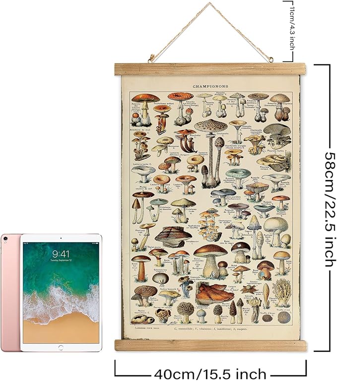 XIAOAIKA Vintage Mushroom Poster with Wooden Scroll Frame - Classic Botanical Print with Variety of Fungi Species - Retro Style Wall Art Decor for Kitchen, Living Room, Classroom 16 x 23 Inches