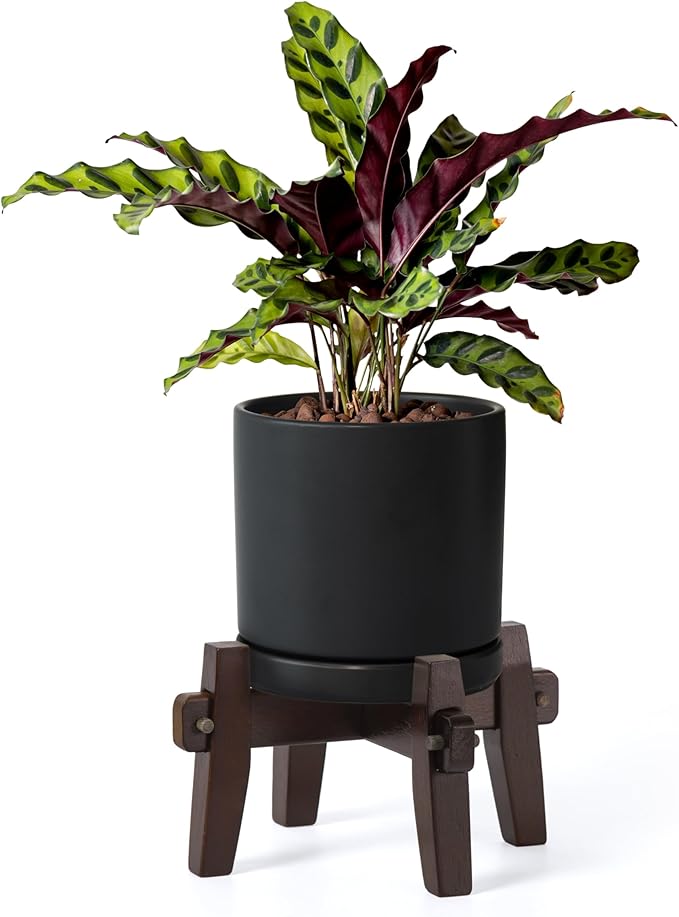 D'vine Dev Ceramic Planter with Wood Stand - 6 Inch Mid Century Modern Cylinder Plant Pot Set for Indoor Plants & Flowers, Black, 55-A-Z-2