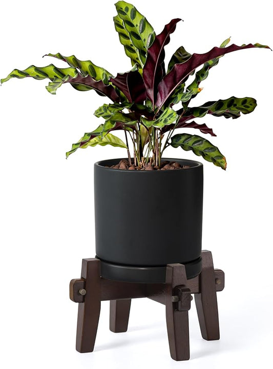 D'vine Dev Ceramic Planter with Wood Stand - 6 Inch Mid Century Modern Cylinder Plant Pot Set for Indoor Plants & Flowers, Black, 55-A-Z-2