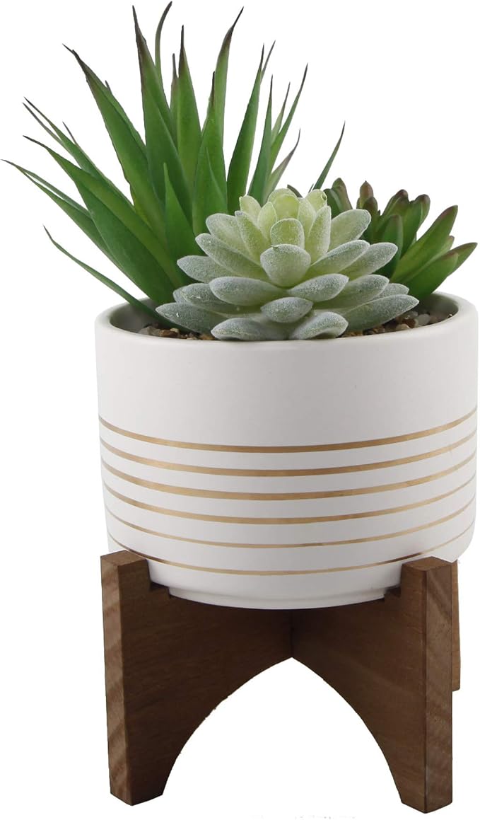 Flora Bunda Mid Century Ceramic Planter on Wood Stand 4.75 inch White with Gold Line for Succulent Desktop Indoor Use 5.5 x 5.5 x 5.75