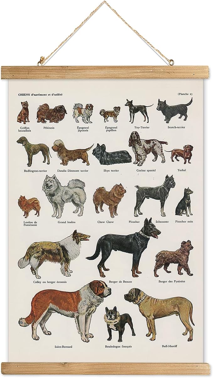 XIAOAIKA Classic Dog Breeds Illustrated Poster - Vintage Canine Varieties Wall Art with Wooden Hanger - Educational and Decorative Print for Pet Lovers and Breeders 16 x 23 Inches