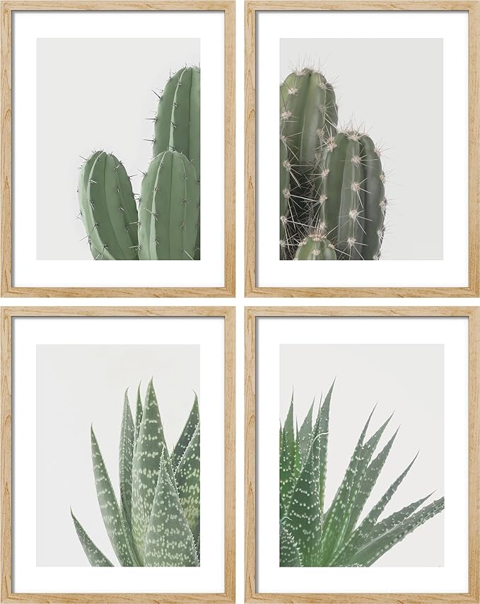 SIGNWIN Framed Green Cactus Snake Plant Wall Art, Set of 4 Collage Desert Landscape Wall Decor Prints, Nature Wilderness Wall Décor for Living Room, Bedroom - 12"x16" Natural